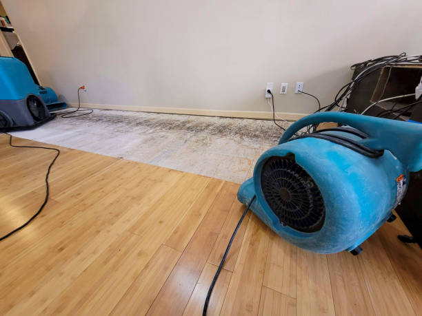 Professional Basement Flood Cleanup technician working in Livonia, LA